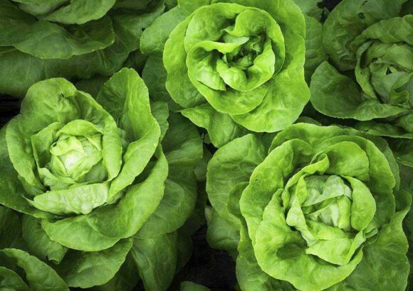 More Greens In Your Diet